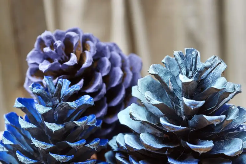 primalex_drevene-sisky-(2)_1505740050