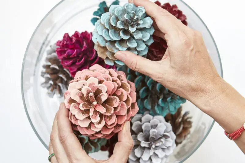 primalex_drevene-sisky-(4)_1505740054