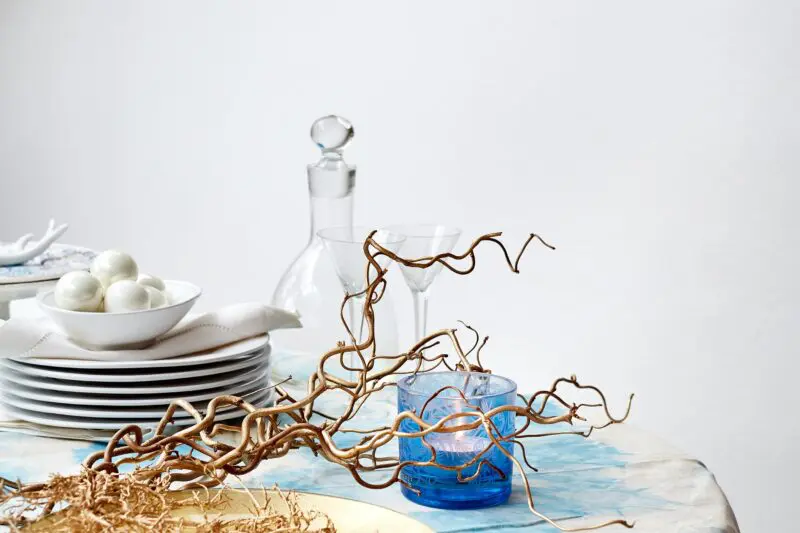 primalex_sprejovane-vetvicky-(1)_1505739558