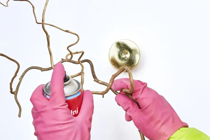 primalex_sprejovane-vetvicky-(2)_1505739560