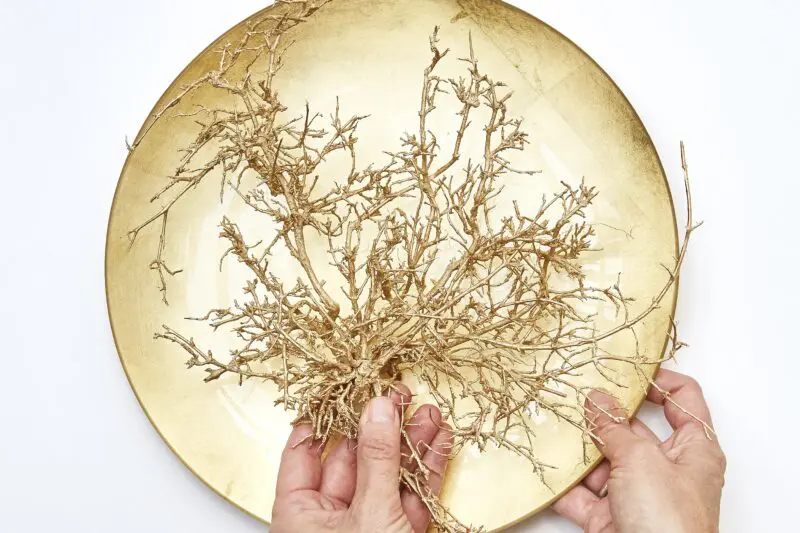 primalex_sprejovane-vetvicky-(3)_1505739563