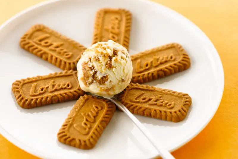 lotus-biscoff_ice-cream_02_1589800452