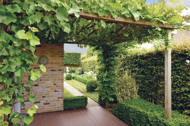 Essential Terrace_4