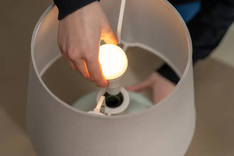 Balakryl_lampa u demižonu (21)