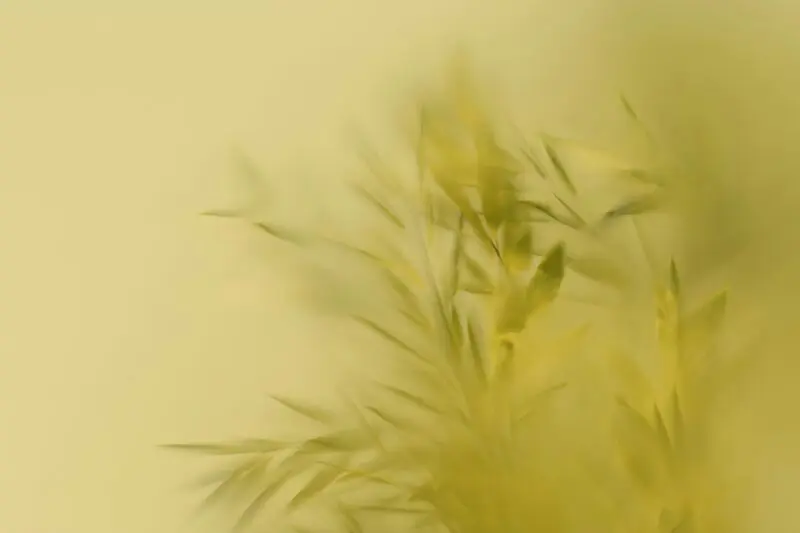 PPG barva roku 2026_www.ppg.com (1)