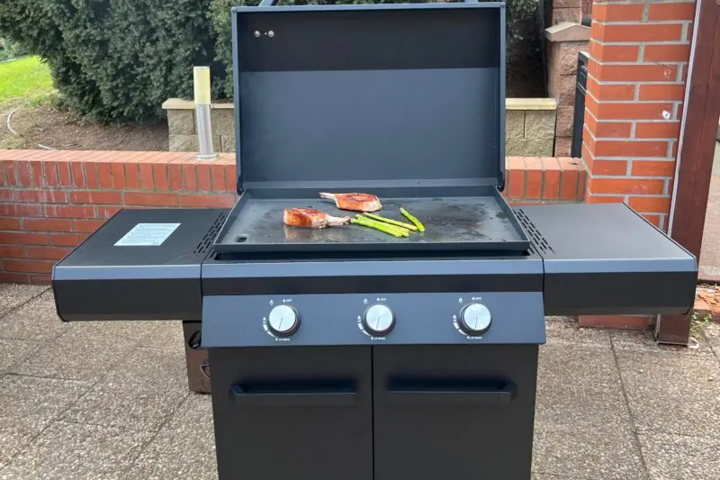 Garden Pardise_Grill Guru Plancha_1
