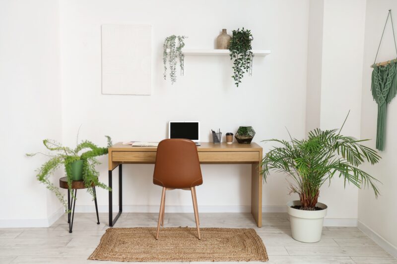 Interior,Of,Light,Office,With,Workplace,,Shelf,And,Green,Houseplants