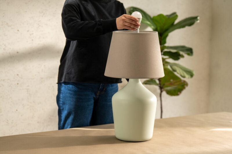 Balakryl_lampa u demižonu (17)