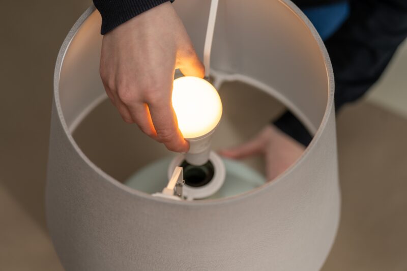 Balakryl_lampa u demižonu (21)
